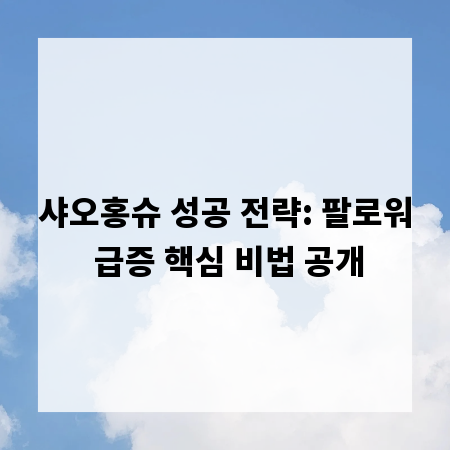 샤오홍슈 성공 전략: 팔로워 급증 핵심 비법 공개